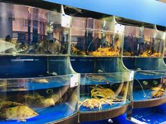 水产区-果蔬好生活超市(东湖店)