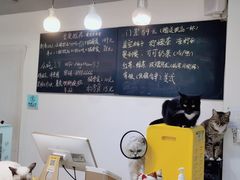 -Heymao猫咖.咖啡厅(东门店)