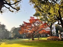 -上海兴国宾馆香樟园西餐厅