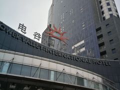 -电谷雅阁国际大酒店