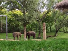 -北京野生动物园