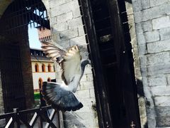 -斯福尔扎古堡