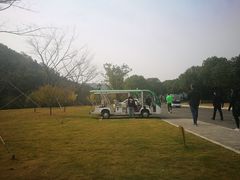 -龙寺生态园