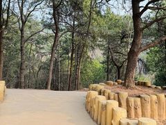 -北京西山国家森林公园