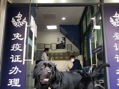 -申普宠物医院·眼科·心内科·影像科(普陀分院)