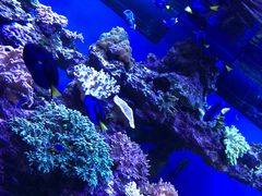 -上海海昌海洋公园