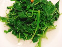 蒜蓉炒苋菜-鼎泰丰(当代商城店)