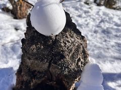 -太子岭滑雪场