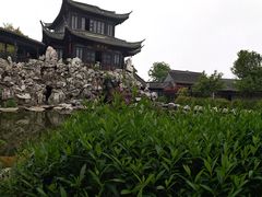 -口岸雕花楼