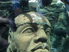 -成都浩海立方海洋公园