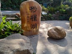 -深圳仙湖植物园-停车场