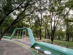 -大望京公园