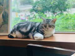 -咖法森林·咖啡  酒吧(天河店)