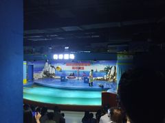 -重庆欢乐海底世界