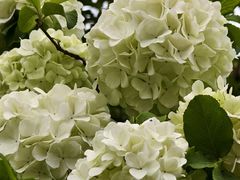 -大龙山(地铁站)