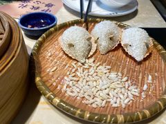 -点都德·毕德寮