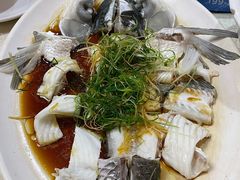 -友渔港·顺徳鱼生·横县鱼生