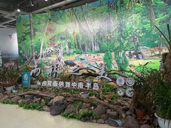 -中国科学院西双版纳热带植物园