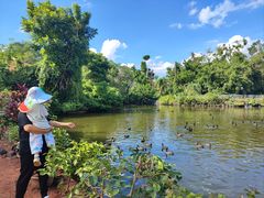 -海南热带野生动植物园