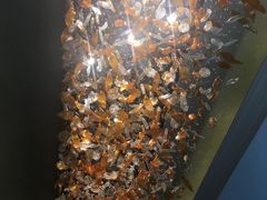 -东海朗廷酒店-唐阁T’ANG COURT 中餐厅