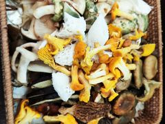 -山菌美食苑(振兴路店)