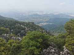 -梧桐山风景名胜区