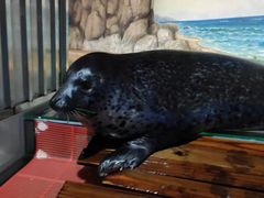 -福州罗源湾海洋世界旅游区