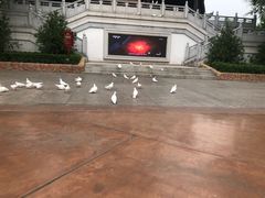 -济南方特东方神画