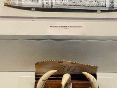 -重庆中国三峡博物馆(重庆博物馆)