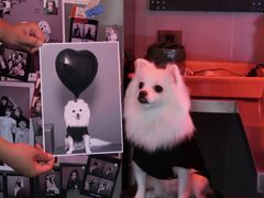 -PHOTOWITH 自助照相馆