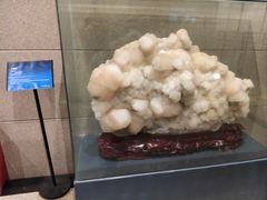 -湖南省地质博物馆