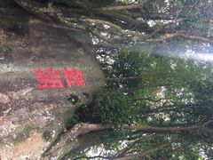 九鲤湖-九鲤湖风景区