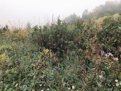 -白草畔自然风景区