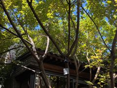 -VOYAGE COFFEE(杨梅竹店)