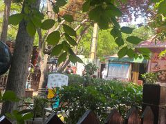 -正宗天津烧麦馆(柳州路店)