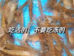 鲍鱼明虾-加餐海鲜自助(宝龙一城店)