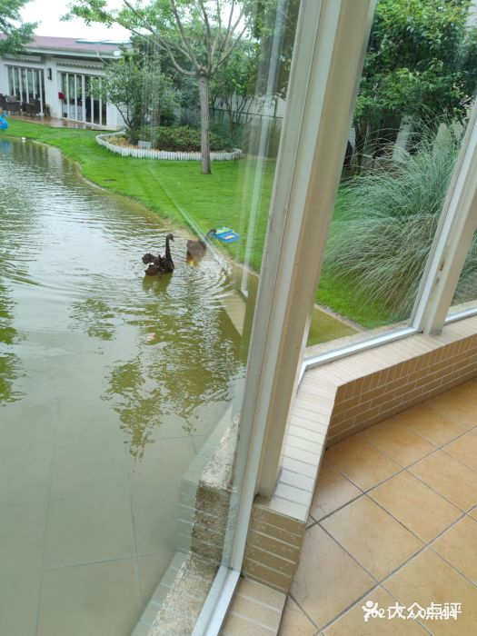 东方绿舟景区图片