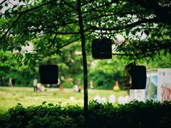 -贵阳市花溪国家城市湿地公园