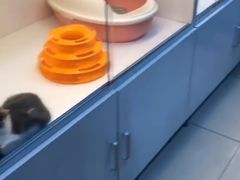 -乐宠宠物店(世纪金源店)