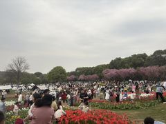 -凤凰沟景区