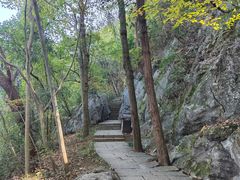 -九曜山