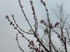 -中关村生命科学园