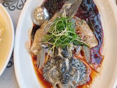 清蒸花斑鱼-岭南海晏楼(东晓南店)