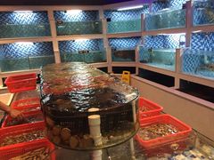 -船奇蒸汽海鲜·闽菜(八市海鲜总店)