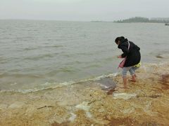 -瑶湖郊野森林公园