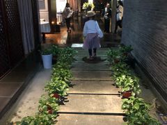 大堂-梧桐餐厅(泉城路店)