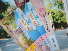 -鼎湖山风景区
