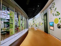 -同里国家湿地公园