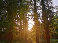 -黄海国家森林公园