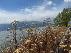 -大理洱海